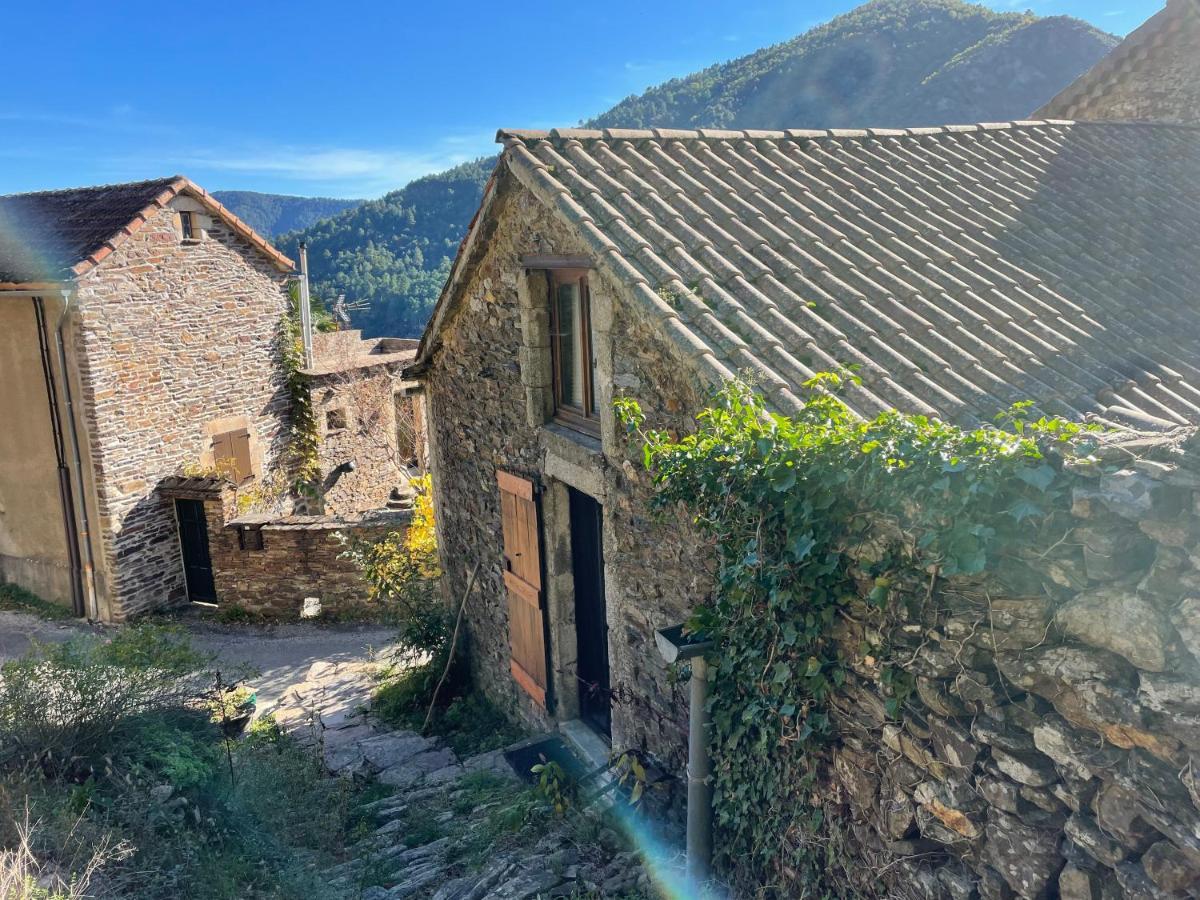 Charmant Petit Gite Au Coeur De L'Ardeche Saint-Melany Eksteriør billede